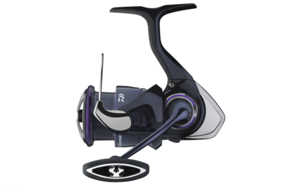 Daiwa 25 Prorex V Spinmolen