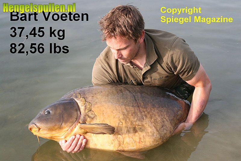 Bart Voeten vangt Benelux Record Karper!