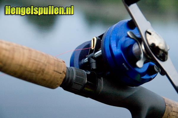 De Bayard zit goed vast.