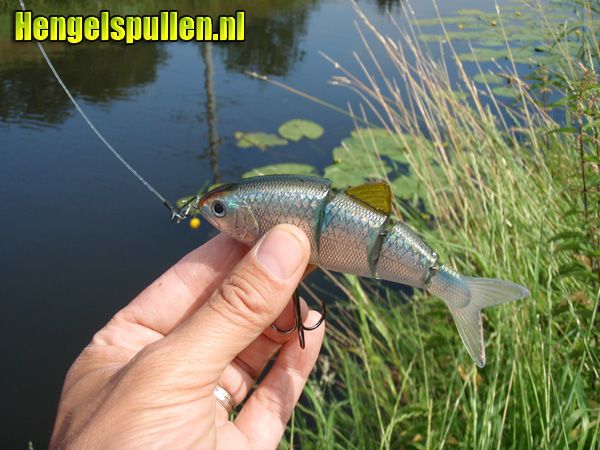 De BBZ-1 Shad van Spro door Willem