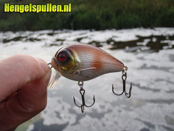 Pr'ppie door Willem (review Cormoran Belly Dog SR)