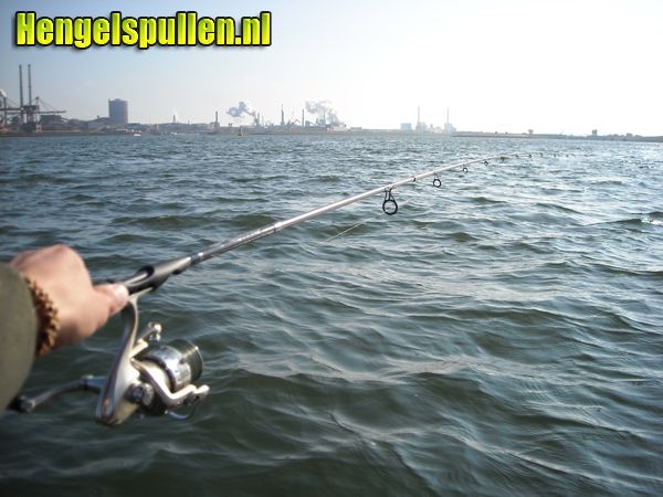 one skeletor spin van Berkley