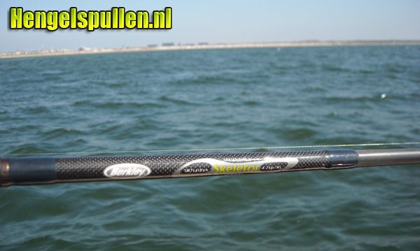 one skeletor spin van Berkley