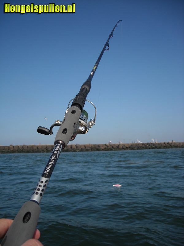 one skeletor spin van Berkley