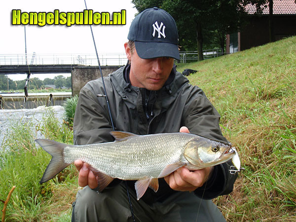 BromanOdell 'Gone Fishing' 5,5'5-15gr. lichte spinhengel door Ron