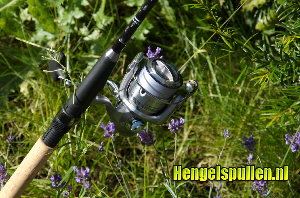 Review Daiwa Exceler 2500E