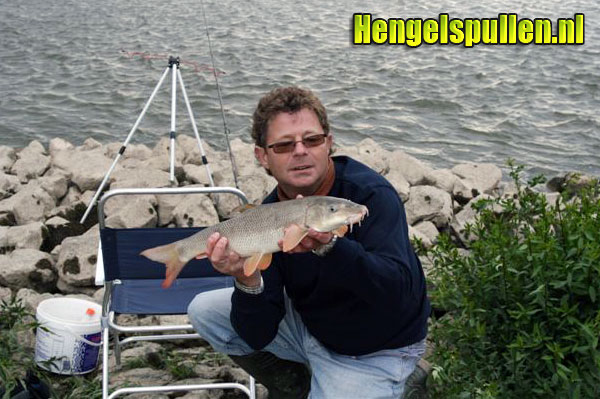 Review E.S.P. no 10 De big-T raptor door Frans Vogels