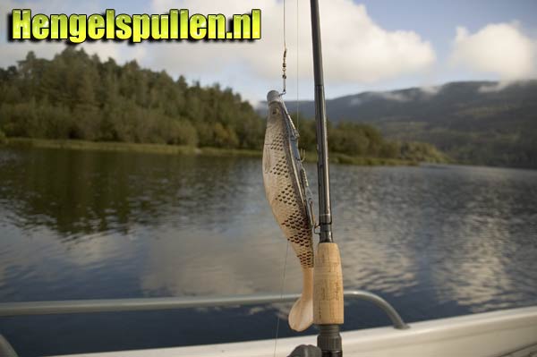 Review Guusbaits shad