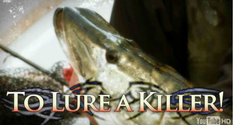 Nieuwe DVD voor de snoekvissers: To lure a Killer!