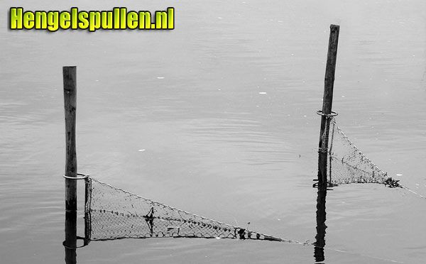 (persbericht) Sportvissers eisen einde aan nettenvisserij