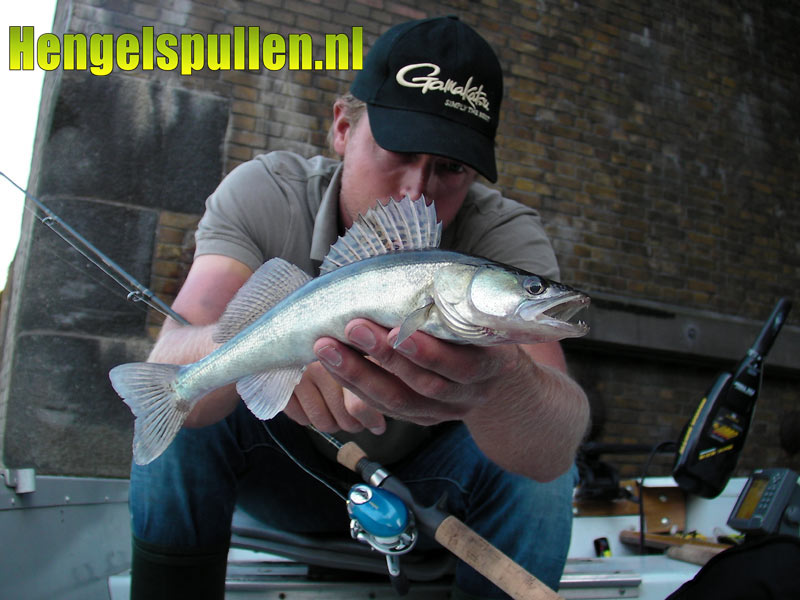 nog een snoekbaars op de dropshot