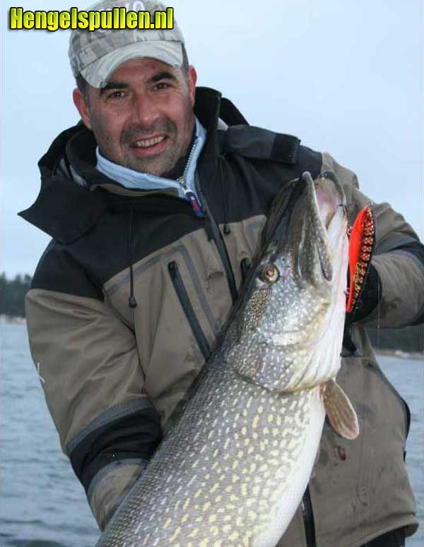 Nieuw bij PML: Bandit Tail