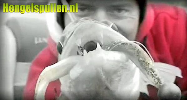 Rix / Fox Rage Roofvisevent