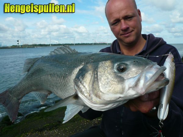 [PERSBERICHT] Super zeebaars vangsten op Rapala X-Rap Subwalk!