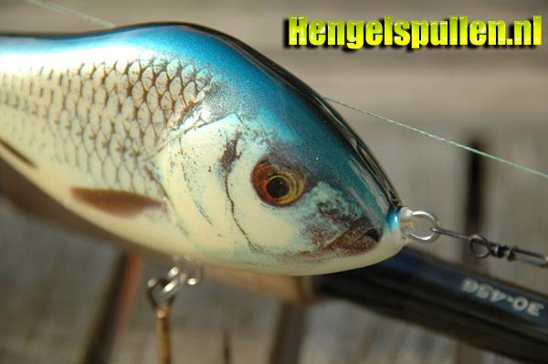 Test: Salmo Slider 10F / 10,0cm / 36 gr Floating