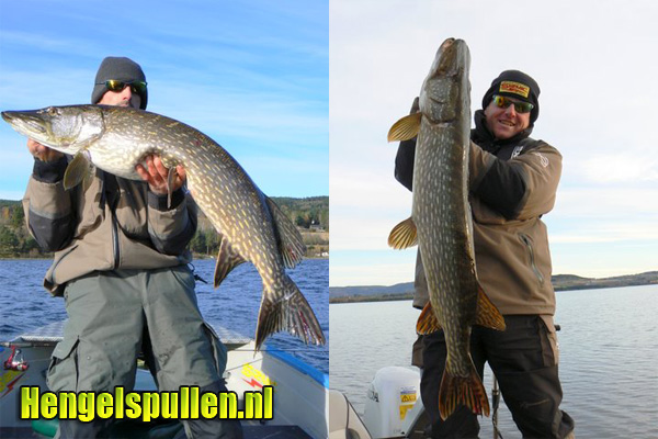 Advertorial - Georganiseerde reis naar Noorwegen