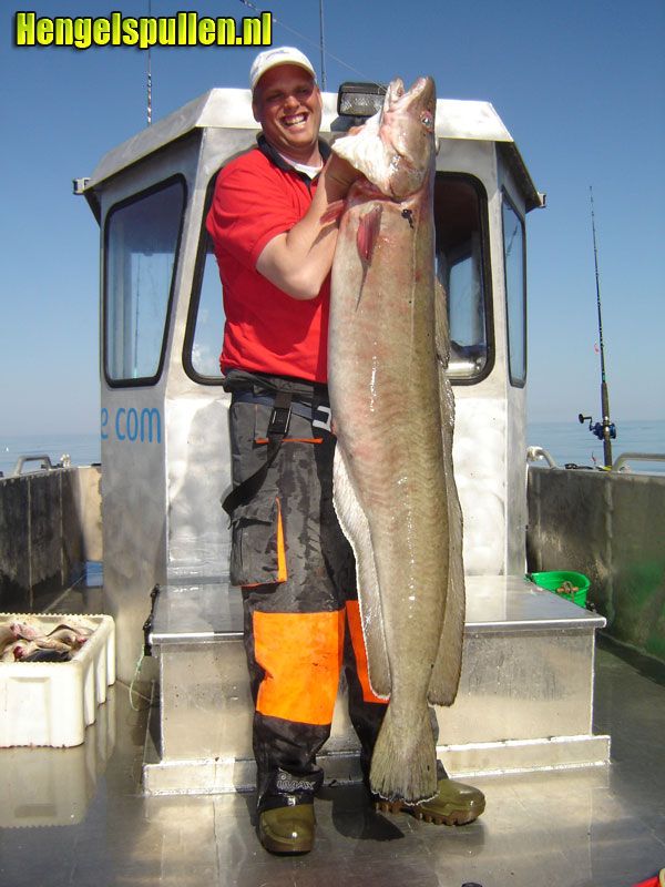 ADVERTORIAL: Hengelwebshop.nl