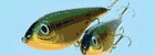 Pike Master Lures