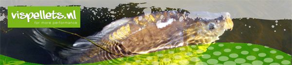 Rix Hengelsport Lutten online met Vispellets.nl