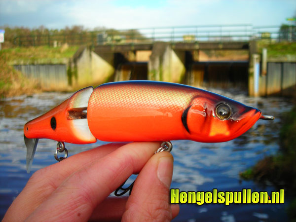De Maddock 'orange lightning' van Q-baits - Liefde op het eerste gezicht