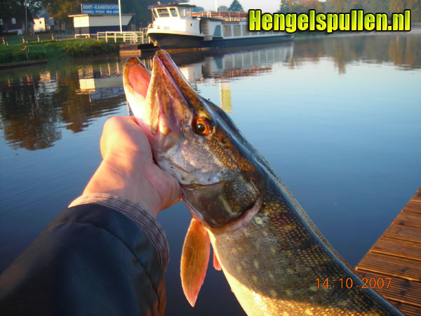 Review Rollo Minnow door Willem