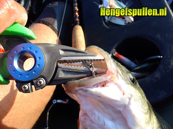 Zeevissen: Shakespeare X-Tools door Rene Sehr