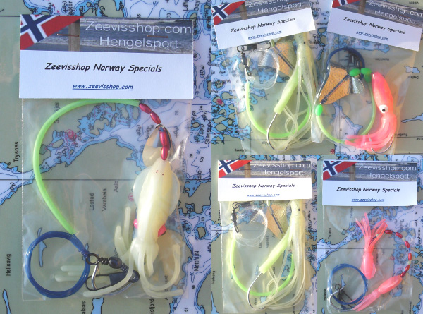 Vissen in Noorwegen met zeevisshop.com