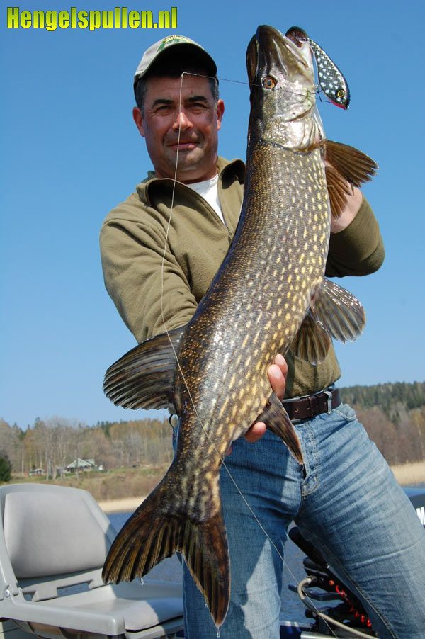 Georganiseerde reis naar Zweden